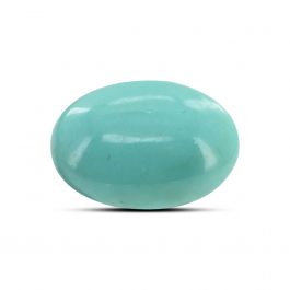 Arizona Turquoise (Firoza) 9.52 Carat