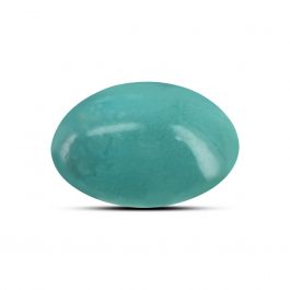 Arizona Turquoise (Firoza) 10.37 Carat