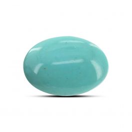 Arizona Turquoise (Firoza) 8.72 Carat