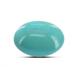 Arizona Turquoise (Firoza) 9.54 Carat