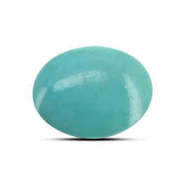 Arizona Turquoise (Firoza) 7.53 Carat