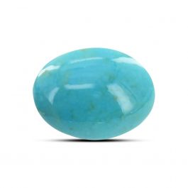 Arizona Turquoise (Firoza) 14.93 Carat