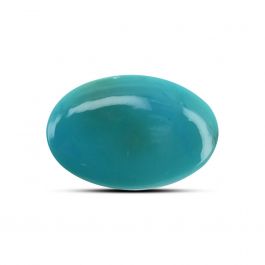 Arizona Turquoise (Firoza) 10.94 Carat