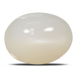 Moonstone 13.47 Carat 