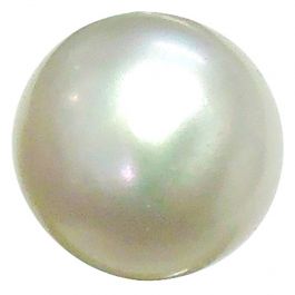 Fresh Water Pearl (Moti) 7.49 Carat 
