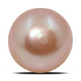 Fresh Water Pearl (Moti) 7.14 Carat 