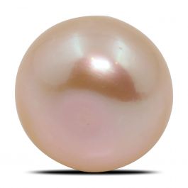 Fresh Water Pearl (Moti) 7.53 Carat 