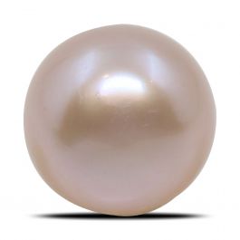 Fresh Water Pearl (Moti) 6.44 Carat 
