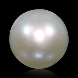 South Sea Pearl (Moti) 13.98 Carat 