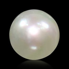 South Sea Pearl (Moti) 5.66 Carat