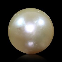 South Sea Pearl (Moti) 12.47 Carat 
