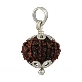 12 Mukhi Rudraksha Silver Pendant (Nepal) 21.2 MM