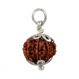12 Mukhi Rudraksha Silver Pendant (Nepal) 19.7 MM