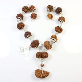 Rudraksha Silver Siddha Mala 1 to 14 Mukhi With Gauri Shankar, Ganesh Rudraksha GJSPC Certified     