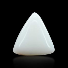 Japani White Coral 8.82 Carat 