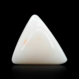 Japani White Coral 8.05 Carat 