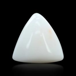 Japani White Coral 7.98 Carat 