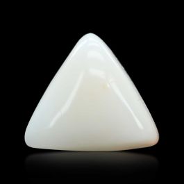 Japani White Coral 6.47 Carat 