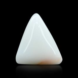 Japani White Coral 6.53 Carat 