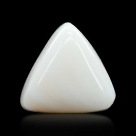 Japani White Coral 6.66 Carat 
