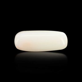 Japani White Coral 7.56 Carat 