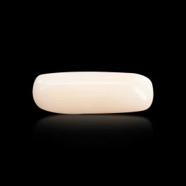 Japani White Coral 6.12 Carat