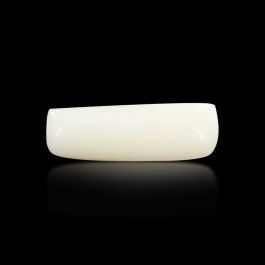 Japani White Coral 7.48 Carat