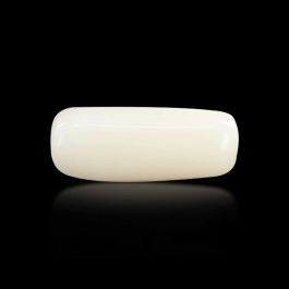 Japani White Coral 7.12 Carat