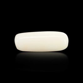 Japani White Coral 7.81 Carat