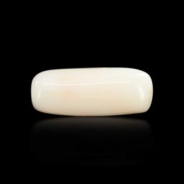 Japani White Coral 5.53 Carat