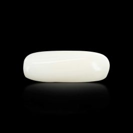 Japani White Coral 7.61 Carat 