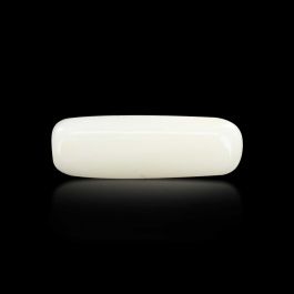 Japani White Coral 6.98 Carat 