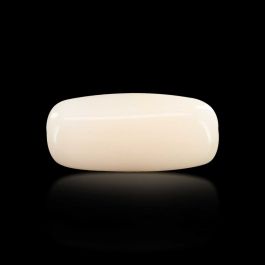 Japani White Coral 7.41 Carat