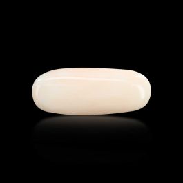 Japani White Coral 7.24 Carat