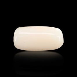 Japani White Coral 7.15 Carat