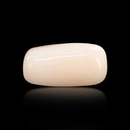 Japani White Coral 6.76 Carat 