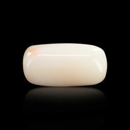 Japani White Coral 7.31 Carat 