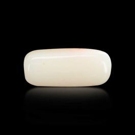 Japani White Coral 6.72 Carat 