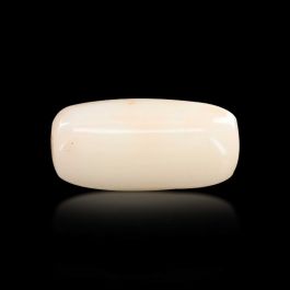 Japani White Coral 6.84 Carat 