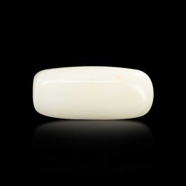 Japani White Coral 7.84 Carat 