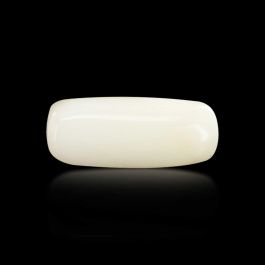 Japani White Coral 7.11 Carat 