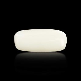 Japani White Coral 7.48 Carat 