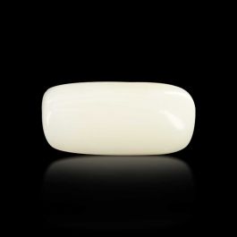 Japani White Coral 7.23 Carat 