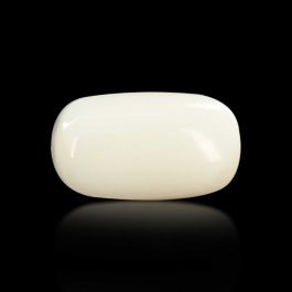 Japani White Coral 7.07 Carat 