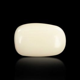 Japani White Coral 5.15 Carat
