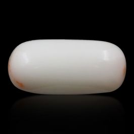 Japani White Coral 7.8 Carat 