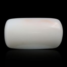 Japani White Coral 10.28 Carat 