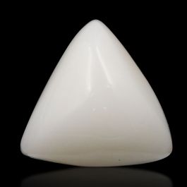 Japani White Coral 9.32 Carat 