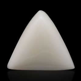 Japani White Coral 7.78 Carat 