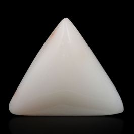 Japani White Coral 9.37 Carat 